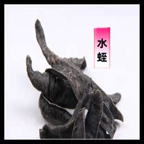 Leech 100g Chinese herbal medicine leech Dry Deer Grinding Leech Powder Dry Centipede Dried Scorpion