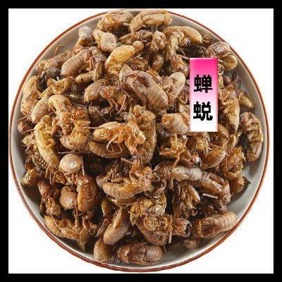 Cicadas cicadas are known to shell cicadas off natural exfoliage protection 100 gr