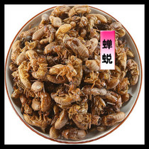 Cicadas cicadas are known to shell cicadas off natural exfoliage protection 100 gr