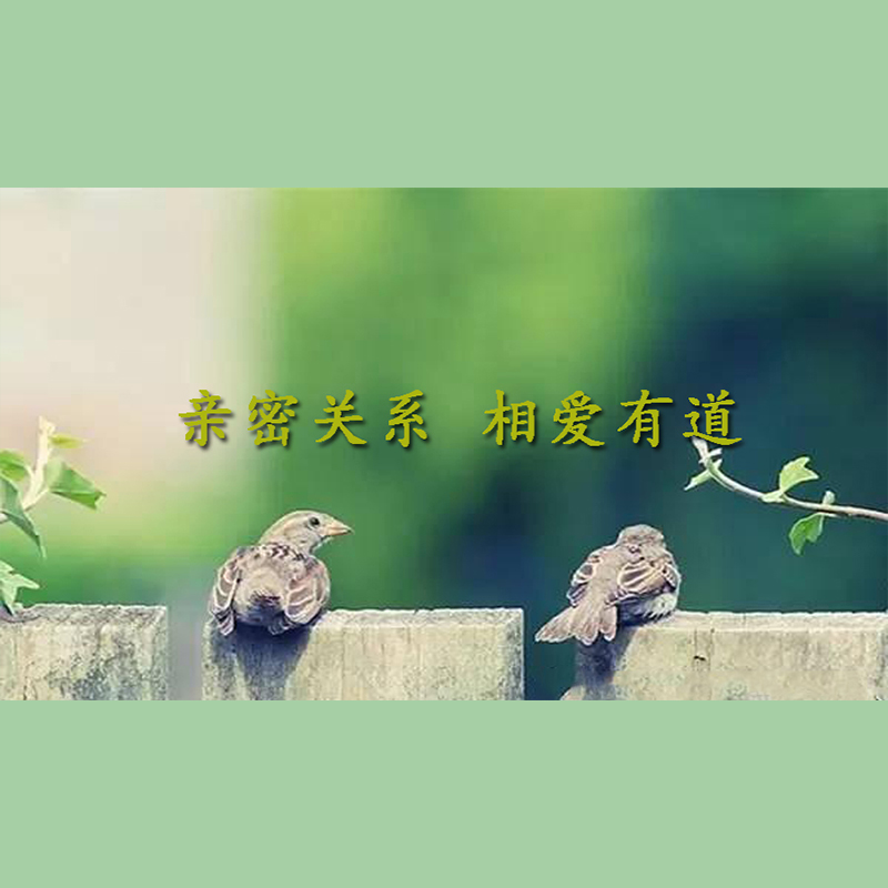 Genuine Package Ticket Tian Yuan's close relationship Love has a track film course non-DVD