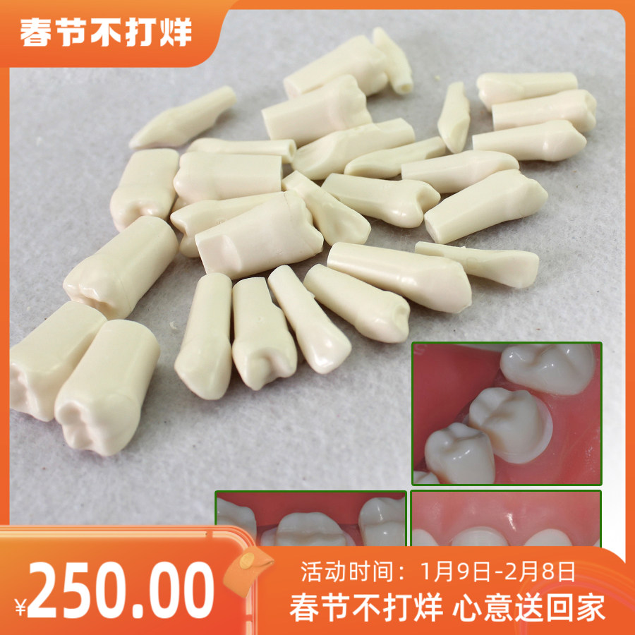 ENOVO颐诺口腔齿科牙医备牙仿真牙齿牙体制备窝洞备牙粒离体牙