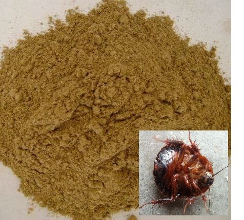 Earthworm Powder, Mealworm Powder, Edible Insect Powder, Earthworm Manufacturer Direct Sales 500g Free Shipping