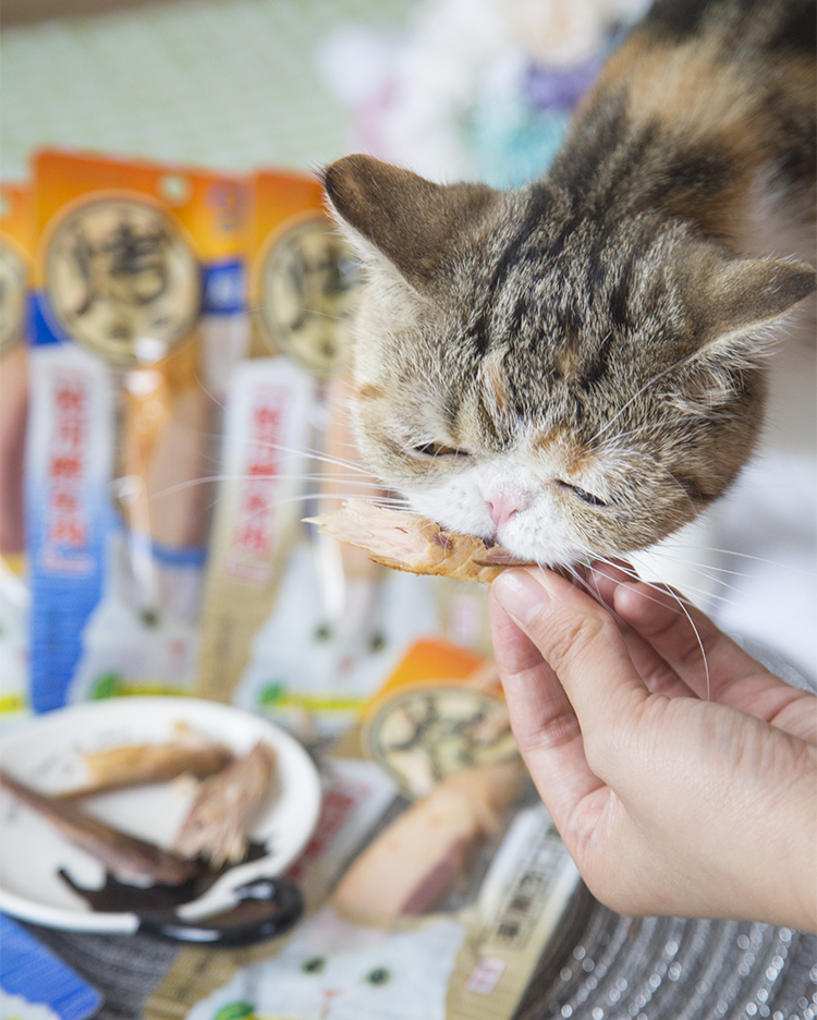 Ren Ke Pet CIAO Inabao tuyệt vời nướng mực mèo ăn nhẹ cá khô cá phi lê thưởng mèo dải thịt khô 4 túi - Đồ ăn nhẹ cho mèo hạt cateye