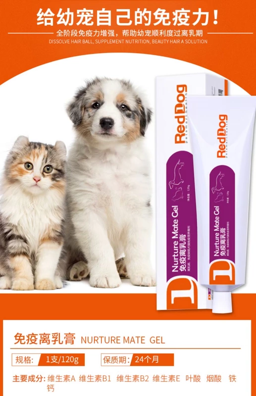 Renke Pet Red Dog Kem miễn dịch Kem dinh dưỡng Chó con Chó con Tăng cường dinh dưỡng miễn dịch 120g - Cat / Dog Health bổ sung