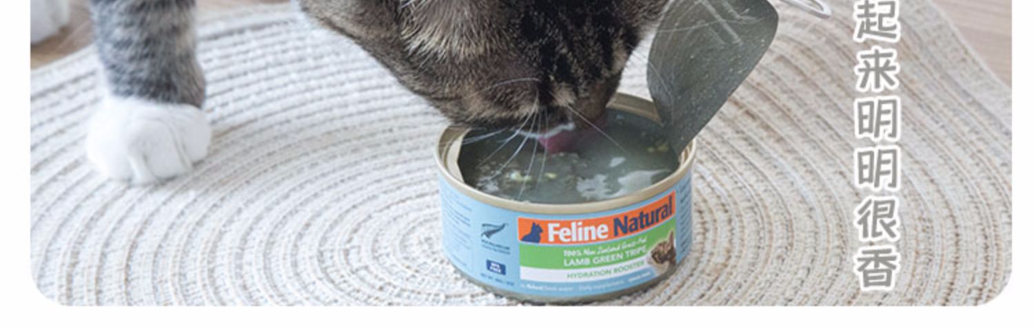 Renke Pet K9 Mèo tự nhiên tự nhiên Đóng hộp Cá hồi Gà Gà Thịt bò Mèo Ăn vặt - Đồ ăn nhẹ cho mèo felipro