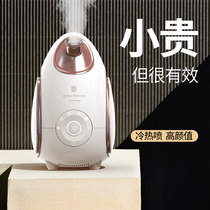 MKS Mex face steamer hot and cold double spray Nano spray hydrating meter home face moisturizing beauty steamer