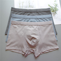 Modal mens underwear literary youth stripes simple soft thin breathable mid-waist mens underwear boxers
