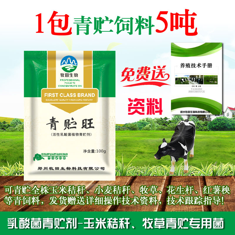 Lactic acid bacteria alfalfa grass silage wrapped cellar storage lactic acid bacteria starter cattle and sheep pasture feed silage starter