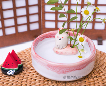 Spot Beauty Thick Fever Japan Handmade Cute Rabbit Cat Spicer Spicer Mini Floral Flower Pot Flower Flower