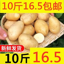 Yunnan Specii Produce East Sichuan Blossom Potato Farmhouse Self-Planted Potato Gift Box Loaded Potatoes 10 kilos 