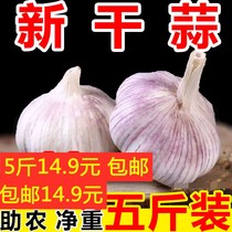 Quality garlic head dried garlic 5 catty new purple white peel garlic Henan Garlic Seeds 10 into dried and multi-petal garlic seed