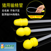 Disposable VAS deferens for pigs Artificial insemination supplies for pigs Single tube without bottle Pig breeding equipment Equipment for veterinary use