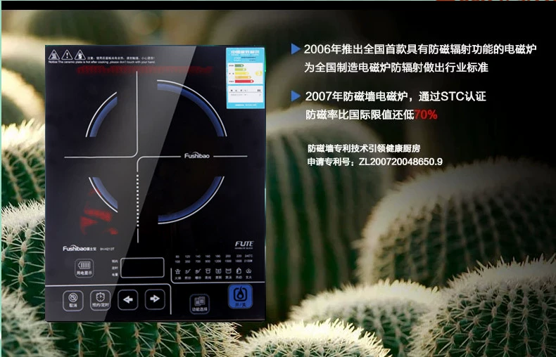 Bếp điện từ cảm ứng Fushibao / Fujibao IH-H213T - Bếp cảm ứng bếp từ mini