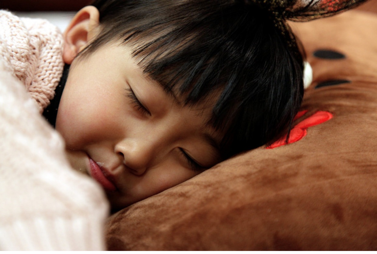 ĐƯỜNG DÂY Gấu nâu gối dài đôi đệm sofa gối lụa băng gối dài trên giường gối rửa - Trở lại đệm / Bolsters mền 2 trong 1