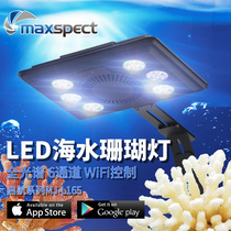 Maiguang Qi Navigation Cylinder Coral Lamp LED God Lamp Full Spectrum Seawater Lamp WIFI Mobile Phone Control Sunrise Sunset