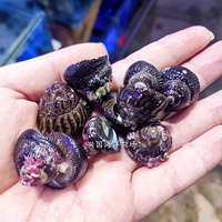 10 башни улиток