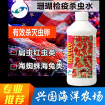 US Two Small Fish Coral Quarantine Water SPS Quarantine Water Lentil Drops Safe Formula Without Hurting Coral
