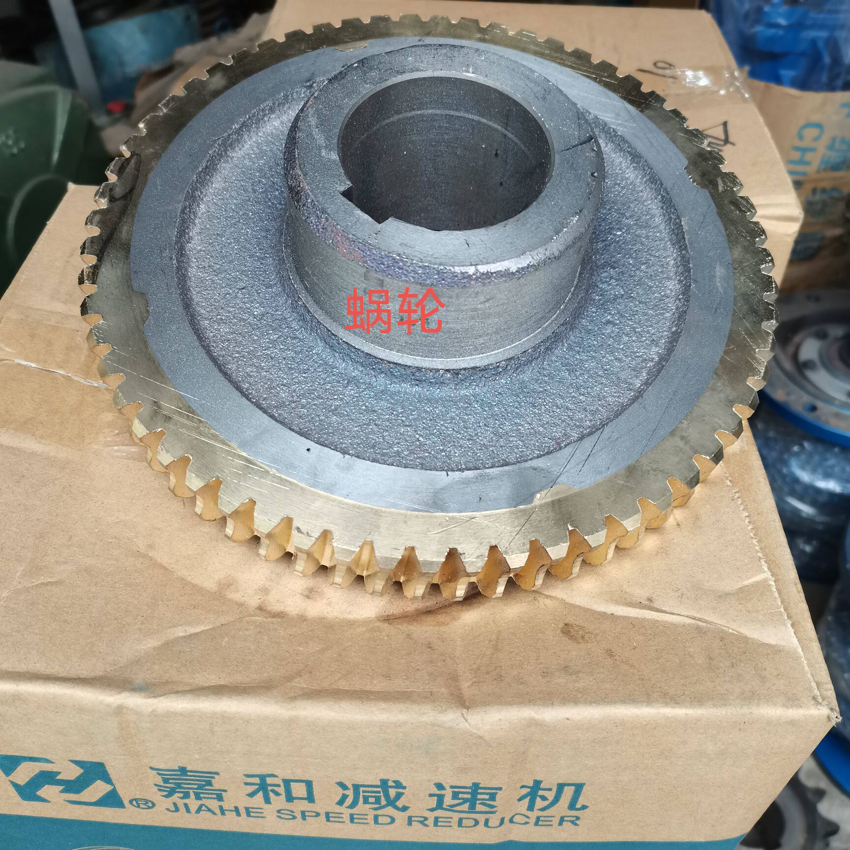 WPWK70 Worm gear for Jiahe reducer 1:10 15202530405060