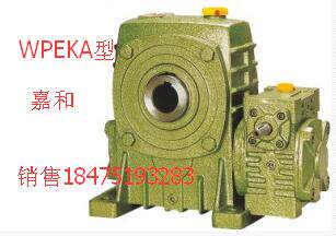 Zhejiang Hangzhou Jiahe Bipolar WPWEKAWPEKS Worm Gear Reducer
