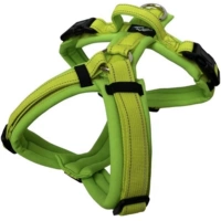 Лаймовый, желтый, классический