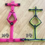 Япония Hakusan Zero Harness Zero Harness Zero Laure Laving Y -обработка грудной клетки и спины с помощью собак и собаки