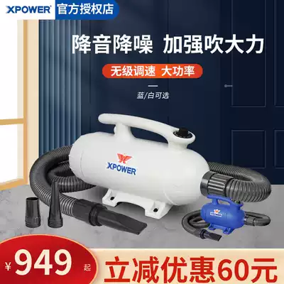 XPOWER pet dog cat double Mada B27 water blower high power low noise hair blowing fan dryer