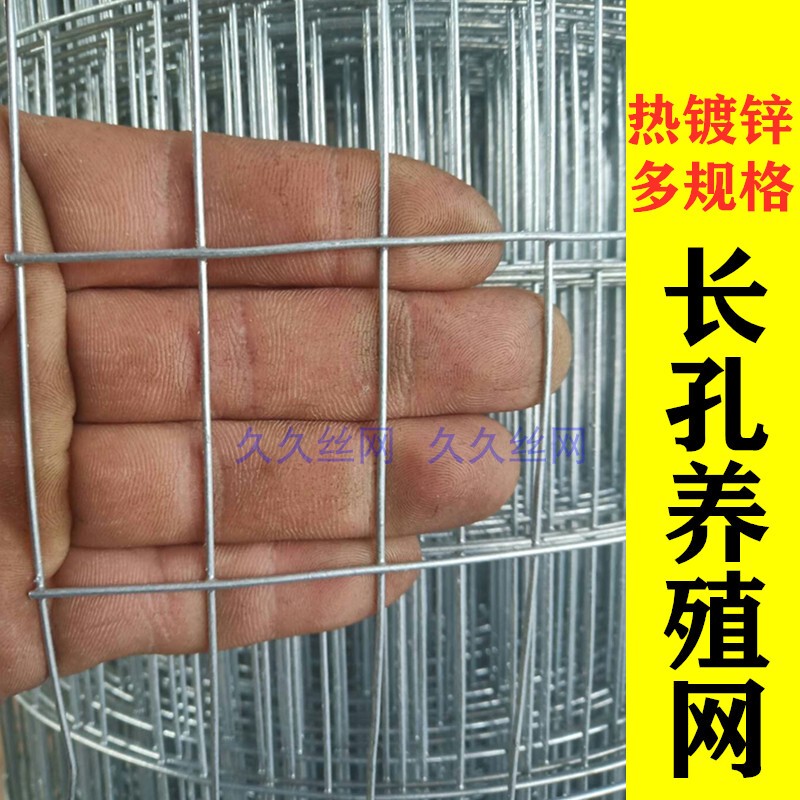 Hot-Dip Galvanized Steel Wire Mesh Long Hole Breeding Quail Rings Corn Pigeon House Chicken Duck Goose Fence Mesh Cage Production