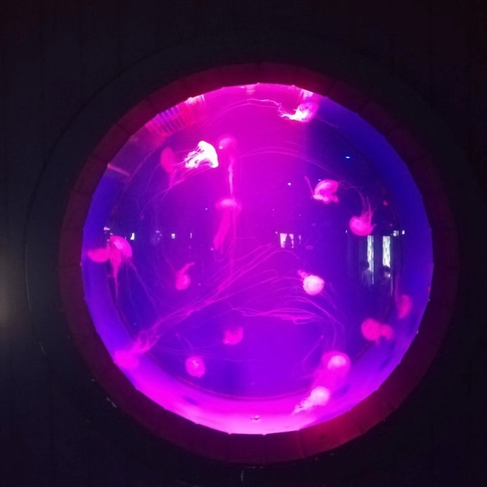 紫朱策划的LOGO