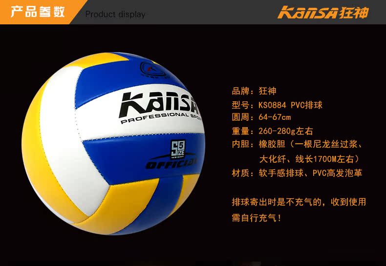 Ballon de volley - Ref 2010948 Image 6