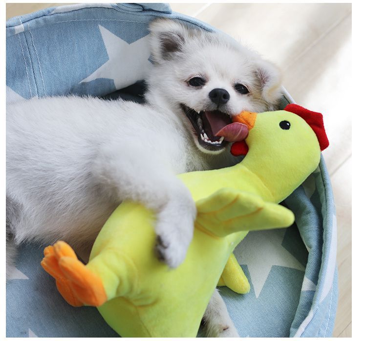 Chó thông hơi đồ chơi mèo cưng rung động cùng một đoạn tua thủ công gấu bông mạnh mẽ cắn cung răng hàm - Mèo / Chó Đồ chơi đồ chơi cho mèo gặm