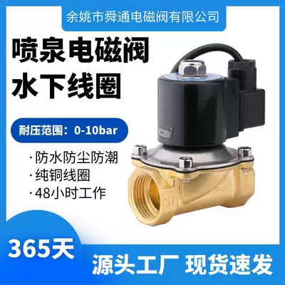 Fountain solenoid valve special underwater waterproof 4 min 6 min 1 2 inch 1 5 inch 2 inch AC220VDC24V