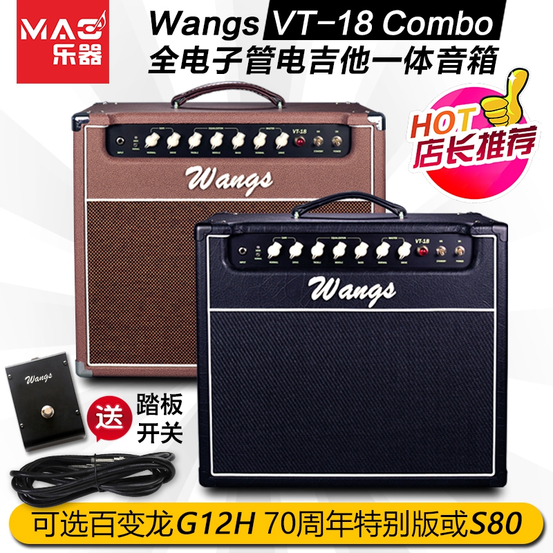 Biyang Wangs VT-18 50 combo full vacuum tube integrated professional electric guitar speaker loud band rehearsal