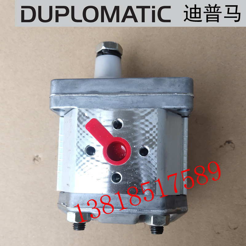 GP30696R97F20N GP30776R97F20N gear pump dippo ma DUPLOMATIC
