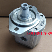 CASAPPA Italy CASAPPA PLP20 14D0-82S1-LGE GD-N 0200062 Gear pump