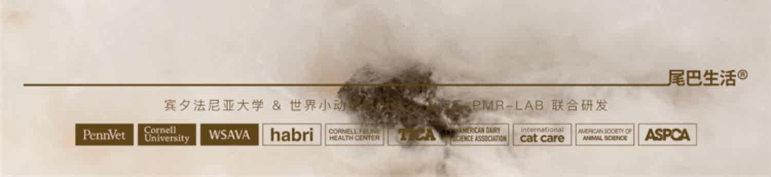 妙鲜包/袋/条 None