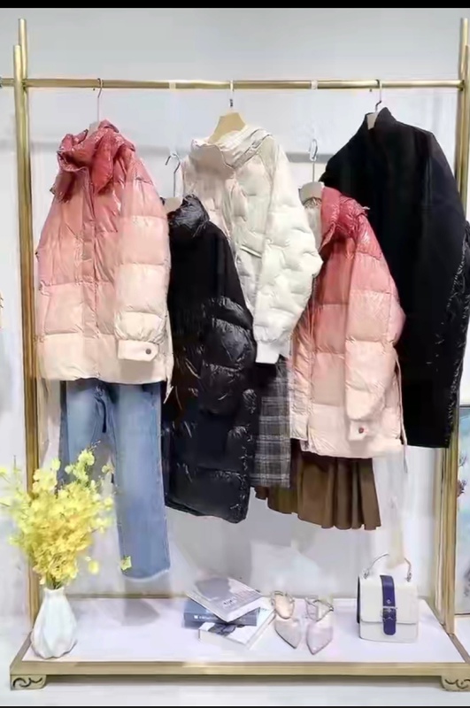 169.9 Yuan to 399.9 Yuan, Including Y Ink Wash Painting Style, down Jackets, Skirts, Trench Coats, and Large Coats