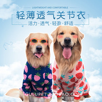 Big dog joint strawberry breathable cotton elbow pad pet dog joint golden retriever clothes medium and large dog