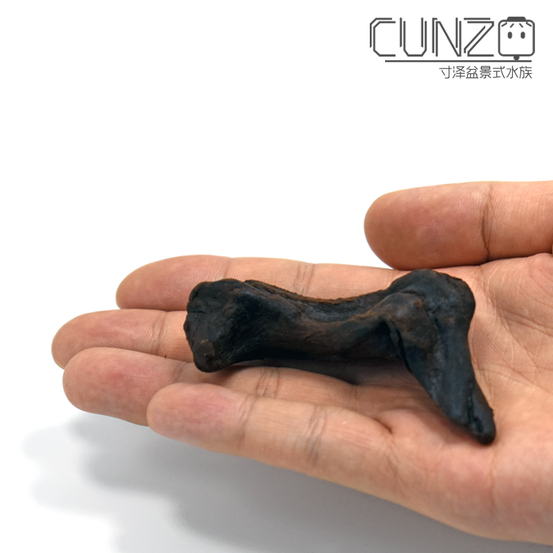 Zhizuo Microcylinder Mini-Made Sheet Water-water cylinder turtle angle frog avoid sunburning Natural Large and Medium Shuttle Shuttle