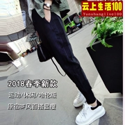 Mùa xuân và mùa đông và quần thể thao mùa đông nữ sinh viên lỏng lẻo BF BF Phiên bản Hàn Quốc của quần harem quần âu quần dài quần tây