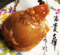 Boutique Myanmar old pit A cargo Red Jade scarce and beautiful color carving Dragon turtle (Hongyun Dangtou) hand-held ornaments