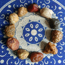 Selection of Ara good blood pulse red ribs via veins Manau Montenegrin fish seed Manau hand strings with eye original stone ice emblared old leather