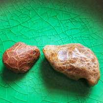 Alashan ice sketted veins agate hieroglyphs (Dragon tortoise fish) eyes original stone fish seed blood veins horse teeth