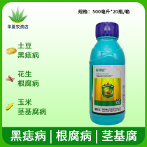 The standard is good and the 11% is good. The suspension seed coating agent root rot disease stem base rot fungicide