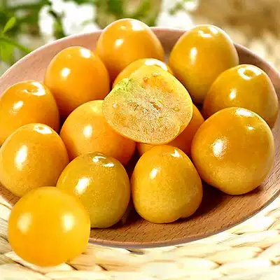 Mushroom fruit seed seedling red and yellow girl big fruit lantern seed sweet balcony potted farm vegetable seed seed