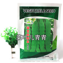 Super wide Champions kidney bean seeds double wide Crown King oil beans lentil seeds early maturity disease resistance high yield early spring sowing