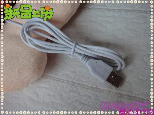 Coussin chauffant USB Le Japon et la Corée du Sud - Ref 426924 Image 33