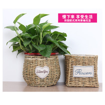 Gardening flowerpots floral floral floral multi-meat green plant flower pot bragger choreography choreography choreography with flower basket American countryside decoration