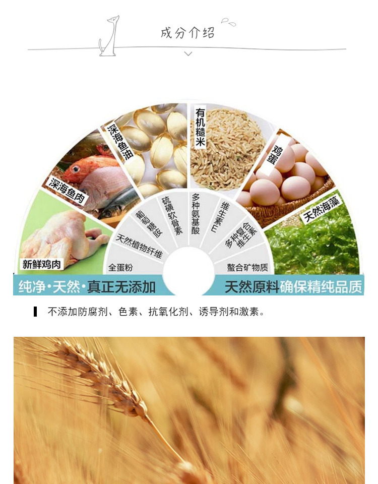 Panot thức ăn tự nhiên cho mèo nhờ cố gắng mua một pound để gửi một pound (bao bì đơn giản, hãy chú ý cẩn thận) - Cat Staples thức ăn royal canin