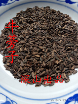 Burdock wild burdock Delix burdock seed Hercules seed deep mountain free fried 2 servings