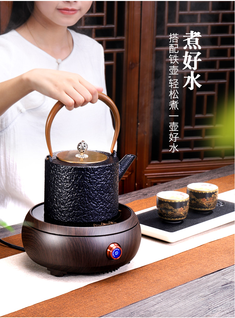 Tang Feng electric TaoLu household boiling tea stove tea ware ceramic POTS glass tea pot of boiled tea furnace iron pot Z